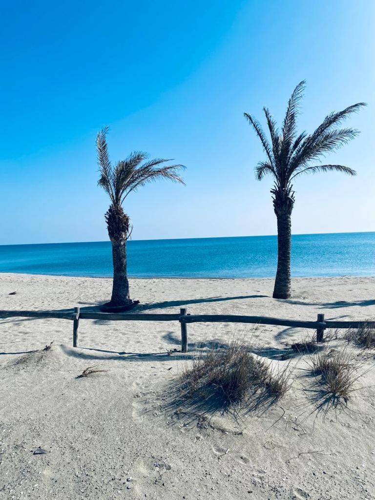 Paradis Bleu Vue Mer, Direct Plage Le Barcarès Εξωτερικό φωτογραφία